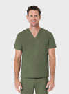 OLIVE - Image 2